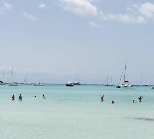 Strand "Es Trenc" 1/2 Std. entfernt