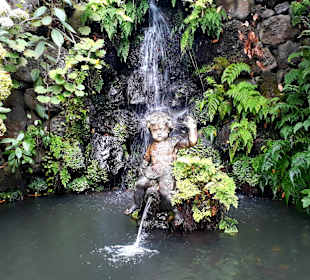 Botanischer Garten Monte Palace