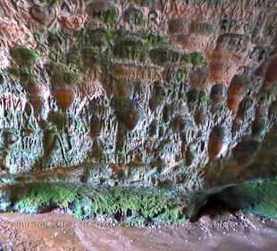 Ein Meer von Fels-Eingravierungen von Besuchern