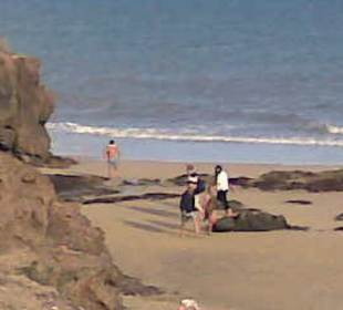 Schöner Strand, teilweise steinig