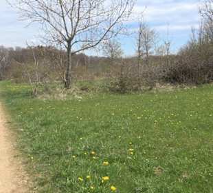 Vulkankrater-Rundweg Apfelstetten