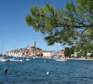 Toller Blick auf die Altstadt
