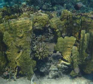 Riff auf einem Ausflug