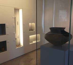 Museum für Vor- und Frühgeschichte