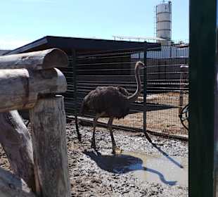 Discovery Park Manavgat