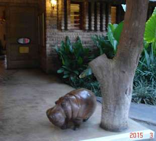 Krüger Nationalpark