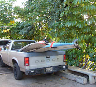 Surf