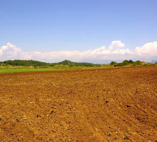 Seht euch diese Natur an...