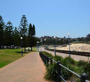 Coogee Beach