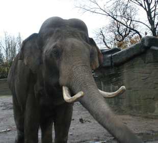 Tierpark Hagenbeck