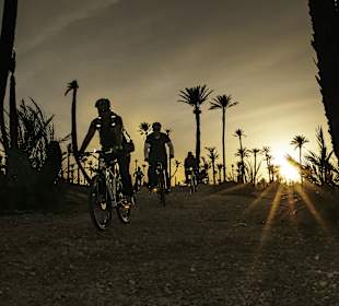 Argan sport excursion velo