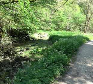 Premiumwanderweg Hochgehschätzt