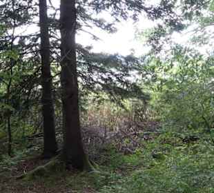 Maisinger See Maising