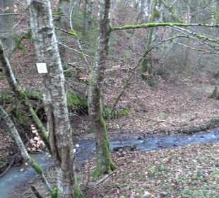 Ochsenweiher Rundweg