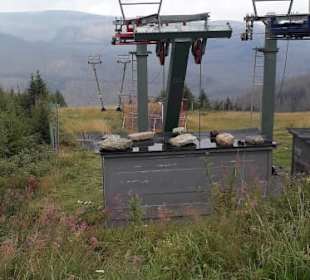 Oben auf dem Wurmberg