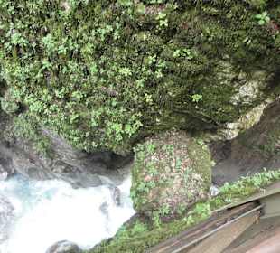 Naturalny most - widok z góry