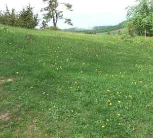 Kreuzweg St. Anna Salmendingen