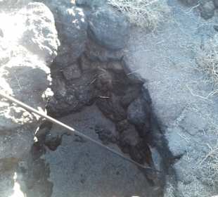 Nationalpark Timanfaya (Feuerberge) in Yaiza