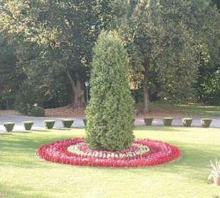 Widok z zamku na dziedziniec