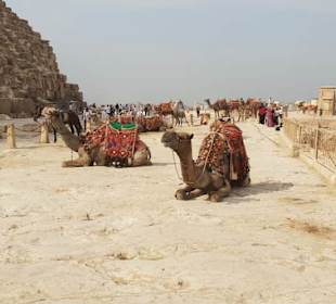 Privater Kairo Ausflug von Zakharious Tours