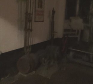 Alpirsbacher Klosterbräu