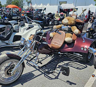38. Bikerfest Lignano 05/2024