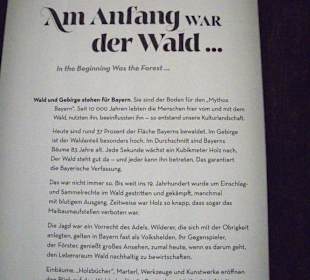 Am Anfang war Wald