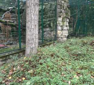 Tierpark 