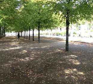 Lustgarten - Gartenanlage