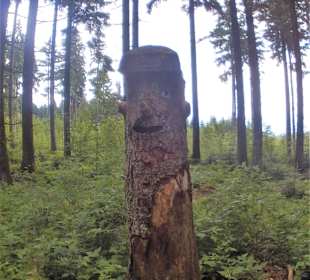 Holzfigur auf dem Rundwanderweg