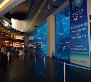 Aquarium in Dubai Mall