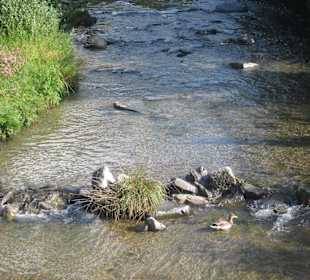 Am Markt in Porlezza