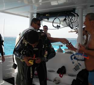 Dolphintour mit Oototo zum Zweiten