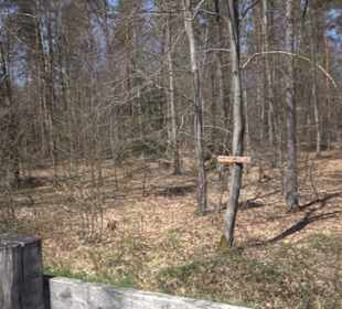 Waldkulturerbe Neuweiler Viehweide