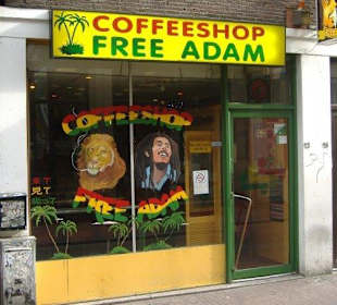 Vacaciones perfectas con amigos