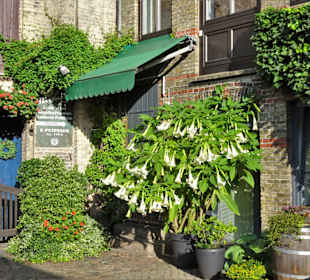 Höfe der Flensburger Altstadt