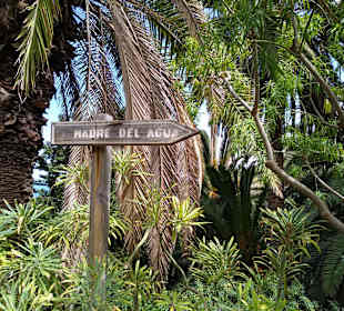 Küstenwanderweg mit tropischen Ambiente 