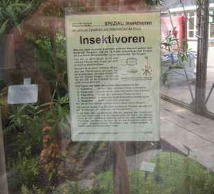 Hinweis zur Kannenpflanze