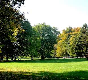 Die Schillerwiese in Herbststimmung 
