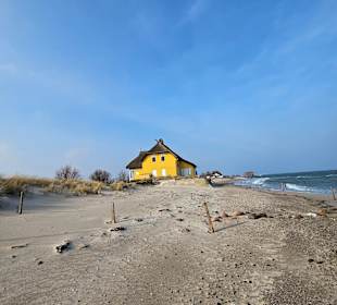 Hundestrand Heiligenhafen