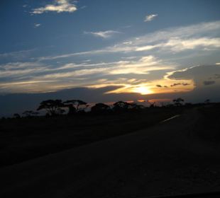 Sonnenuntergang im Amboseli