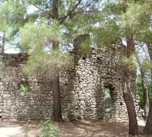 Ruine unter Pinien