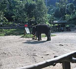 Elefant malt ein Bild