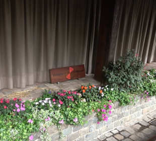 Erlebnispark Tripsdrill