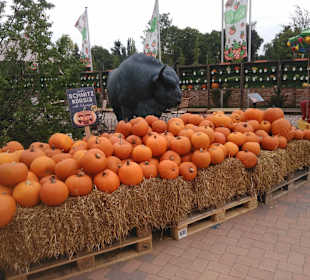 Jede Menge zum kaufen.