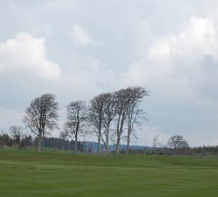 Campo de golf