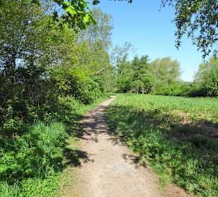 Eindrücke vom Hufeisensee im Wietzepark