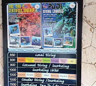 Tauchbasis Dressel Divers Playa Paraiso
