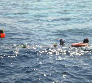 Delphinausflug mit Mohamed