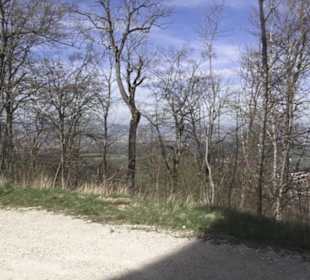 Roßbergturm
